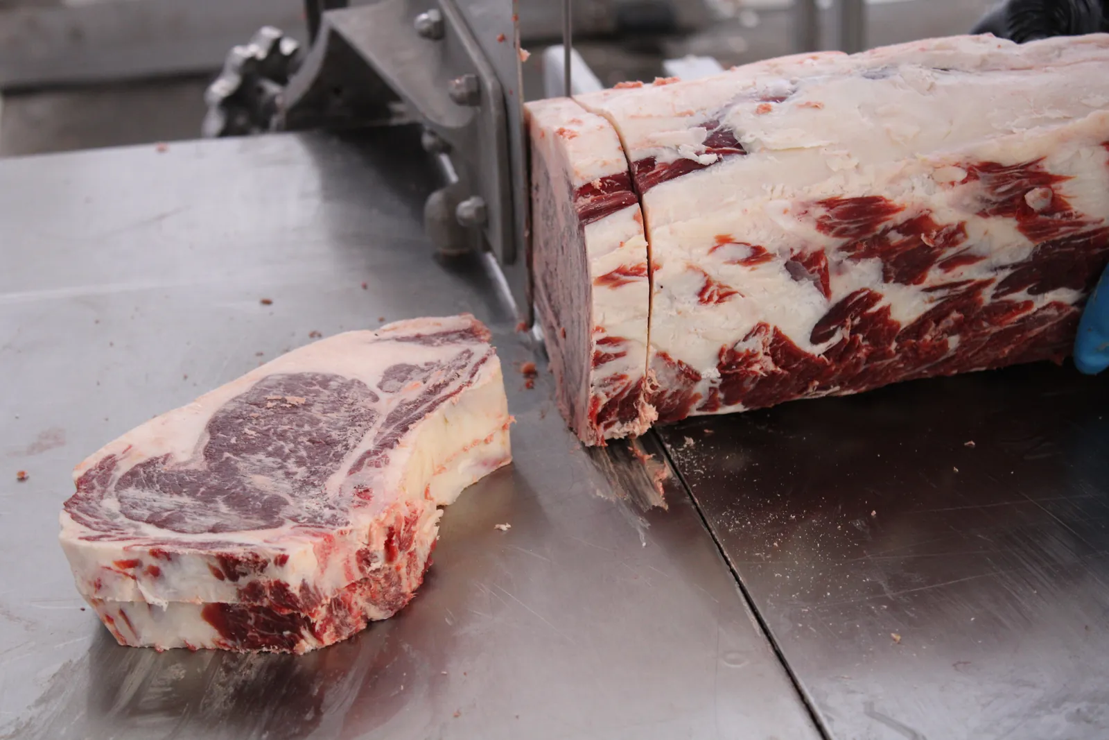 Bone-in ribeyes being cut from a rib on the bandsaw