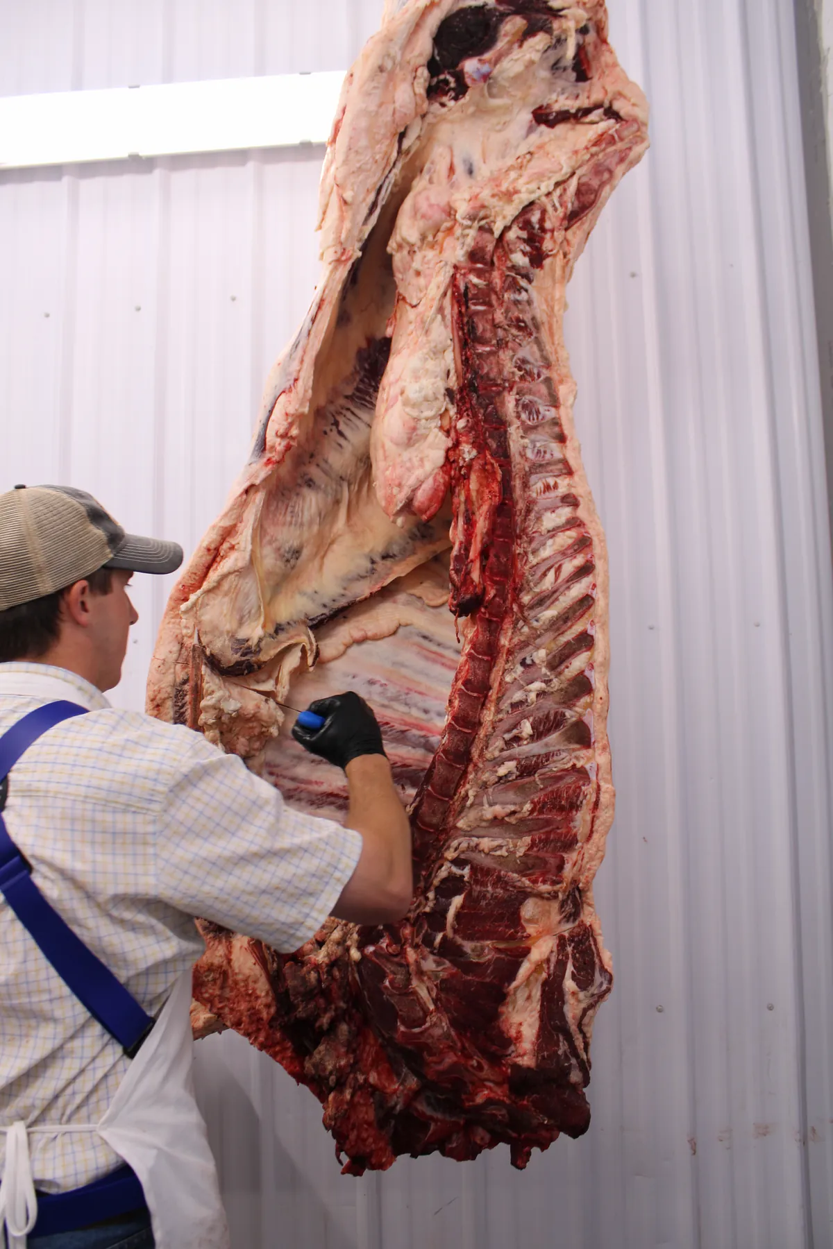A butcher breaking down a side of beef at the shop