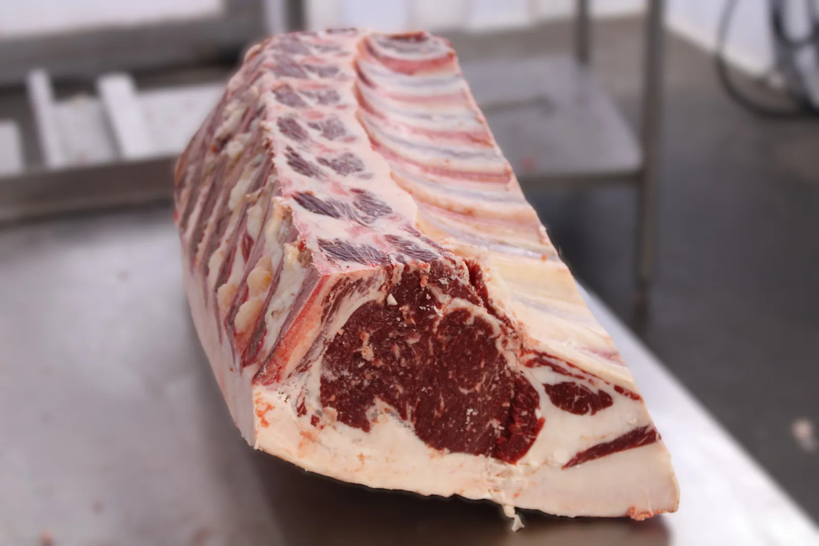 A bone-in rib primal on the cutting table