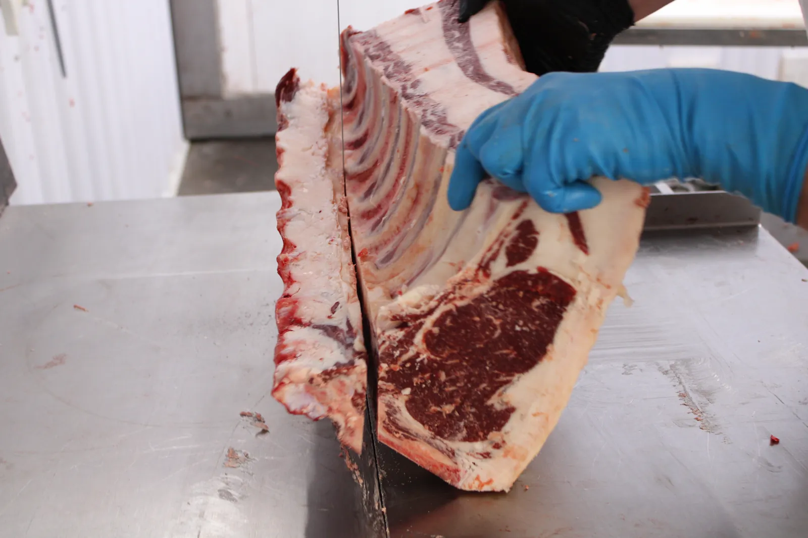 A rib primal being cut on the bandsaw